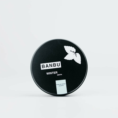 Toothpaste Winter (Mint scent)